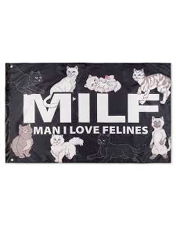Wallbanner Rip N Dip Man I Love Felines - Imagen 2